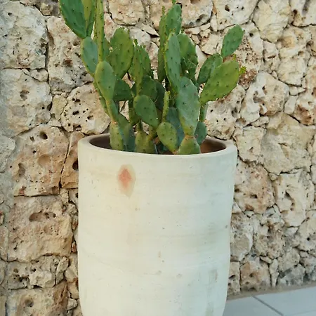 La Marina Vacanze Nyaraló